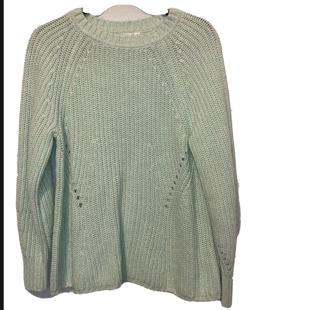 Gap Chunky Knit Sweater Pastel Green NWT Medium